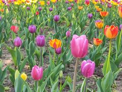 -长春公园(普阳街道)