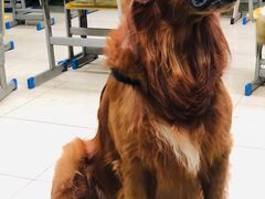 -做了不起的80后