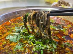 鳝丝-乐山第一家临江鳝丝(茶坊路店)