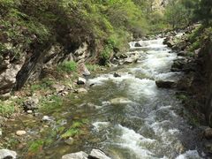 -少华山国家森林公园