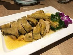 -觅唐MITONG(鸟巢店)