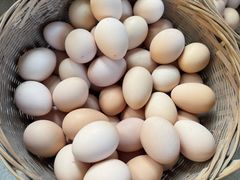 -马陆小张葡萄园农家乐