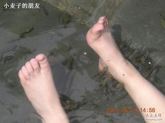 -三亚珠江南田温泉度假区