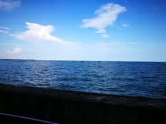 -北海金海湾红树林生态旅游区