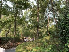 -桃花岭景区