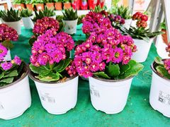 -大润发(勤业店)