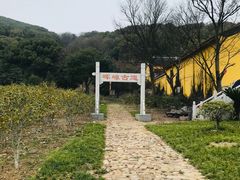 -龙寺生态园
