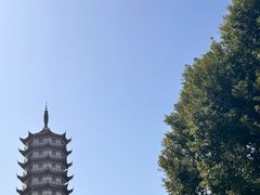 -羊楼洞