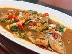 -小小饭店·休闲农庄·安吉松树林里的农家菜