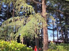 -大雁塔文化休闲景区-北广场