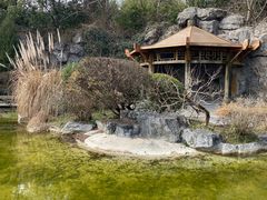 -上海吴淞炮台湾国家湿地公园