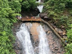 -广州白江湖森林公园