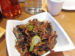 菌香凤爪-木王宴语·野生鲜菌火锅(玉河店)