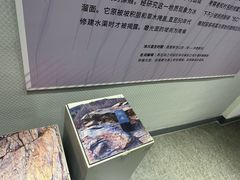 -中国第四纪冰川遗迹陈列馆
