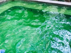 -仁爱团泊湖温泉中心