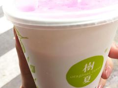 -树夏(建设路店)