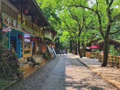 -杨小贤(武夷宫路店)