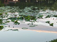 -堤角公园