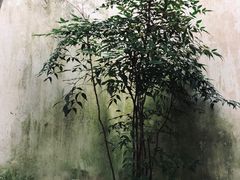 -豫园