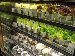 -半岛翡丽海鲜自助餐厅(观风亭店)