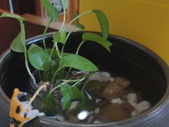 -竹雀古法采耳(青岛麦凯乐店)