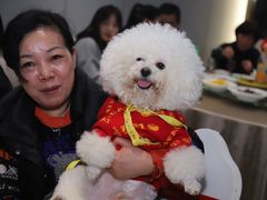 -南京悦客假日酒店