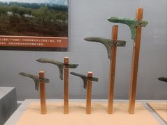 -青岛市博物馆