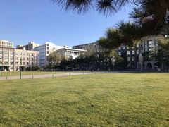 -中国人民大学-博物馆