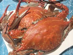 -北塘海鲜·天津菜(大光明桥旗舰店)