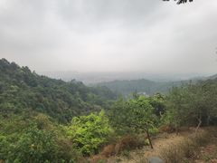 -火炉山森林公园