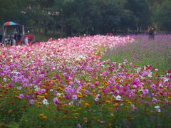 -共青国家森林公园-售票处