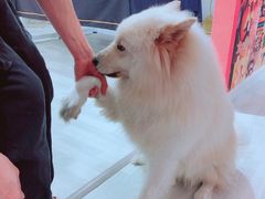 -肆兮眼镜·蔡司·徕卡战略合作店(大坪店)