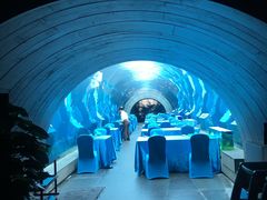 -海棠湾洲际-涛·海底餐厅·美人鱼·自助餐·海底隧道