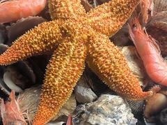 -永红源啤酒·烧烤·海鲜·大排档(青特城店)