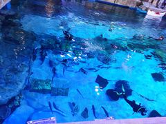 -华夏文旅海洋公园