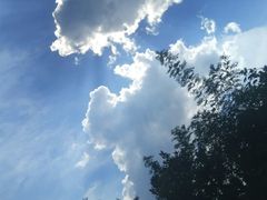 -明记海鲜美食老字号(明记总店)