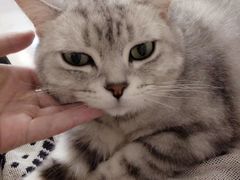 -平行世界·猫咖(首经贸店)