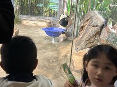 -海南热带野生动植物园
