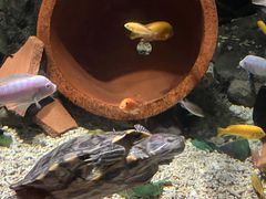 -太平洋海底世界