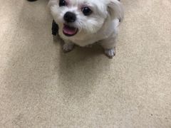 -爱侣宠医·鹦鹉专科·小型哺乳类·异宠专科(灵石路店)