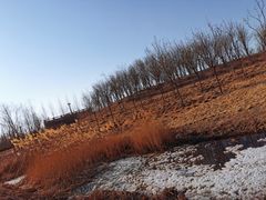 -马家湾湿地公园