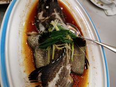 清蒸老虎斑-海晖酒楼·顺德鱼生(荣华店)