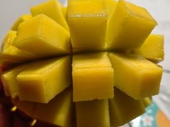 -老板恋上鱼(印象城店)