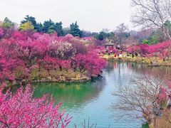 -万科霞光道5号