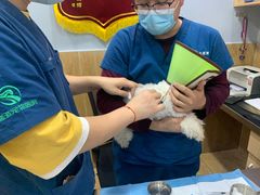 -瑞派名望24h动物医院异宠专科·猫专科·骨科·重症监护分院