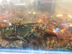 -盒马鲜生(曜一城店)