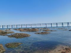 -黑石礁公园