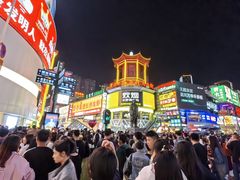 -养心阁足道馆(火宫殿一店)