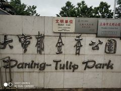 -大宁郁金香公园-停车场