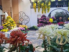 -杭州植物园